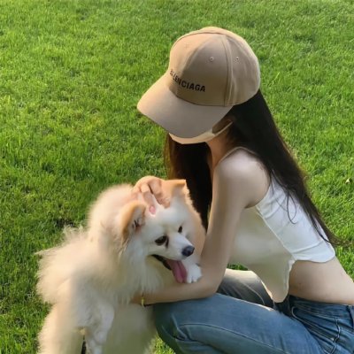 爱猫之城